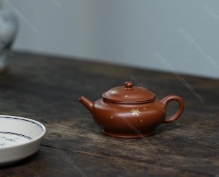 撒金·扁燈 撒金·扁燈